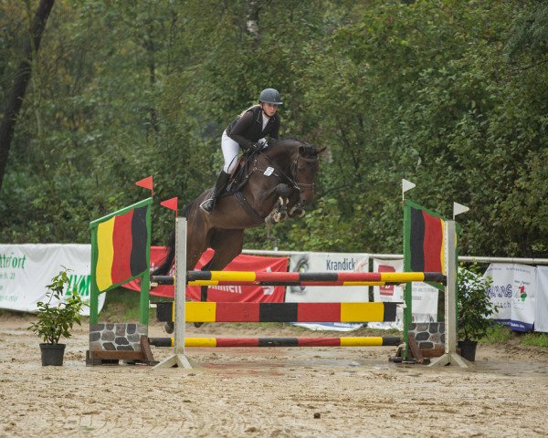 jumper Capital Brrra (German Sport Horse, 2019, from Casskeni II)