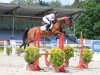 jumper Chazz SW (German Sport Horse, 2015, from Cormint)