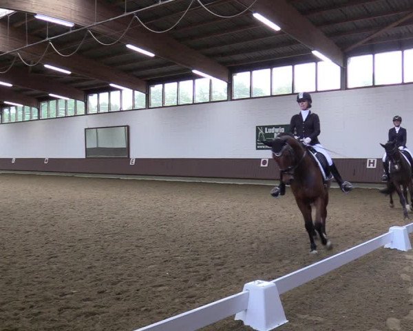 Reitturnier Lembeck-RA Elwermann 2023