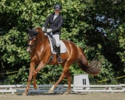 dressage horse Fashion Lady 10 (Oldenburg, 2017, from Fashion Maker)