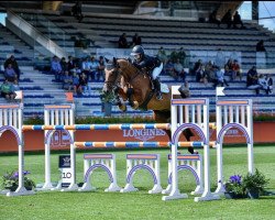 jumper Keeper vd Berghoeve Z (Zangersheide riding horse, 2014, from Kannan)