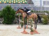 jumper Nash 2 (Austrian Warmblood, 2012, from Nonstop)