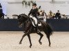 dressage horse Sempre Nobile (Bavarian, 2011, from Stockholm)