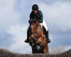 jumper Dibadu 8 (Hanoverian, 2014, from Diarado's Boy)