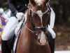 dressage horse Schneematcho (German Riding Pony, 2018, from Schneefall)