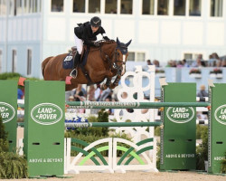 jumper Maharani 57 (Oldenburg show jumper, 2010, from Mariachi)