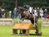 eventing horse We Love Him (Trakehner, 2018, from Freiherr von Stein)