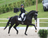 dressage horse Quinn Vr (German Sport Horse, 2015, from Quadroneur)