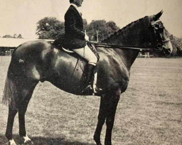 Pferd Berrydon Lad xx (Englisches Vollblut, 1960, von Clieveden Boy xx)