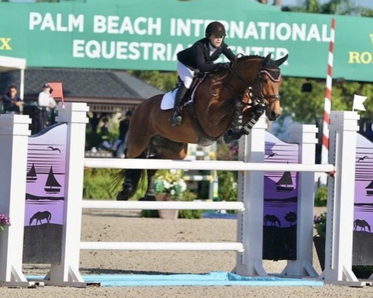 jumper Elertina (KWPN (Royal Dutch Sporthorse), 2009, from Verdi)