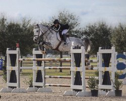 jumper Labalou (Oldenburg show jumper, 2012, from Luchador)