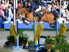 jumper Hhs Ocala (Irish Sport Horse, 2018, from Urano de Cartigny)