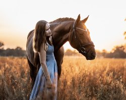 dressage horse TI Final Countdown (German Sport Horse, 2016, from Fürst Fohlenhof)