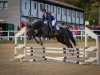 jumper Queeny (Hanoverian, 2005, from Quidam's Rubin)