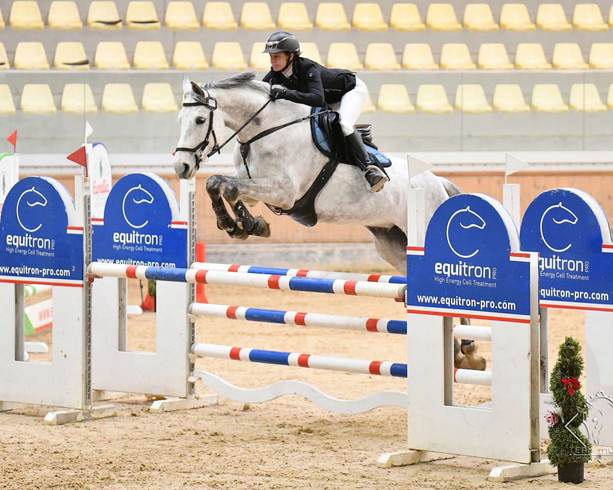 jumper Cornet's Caliza (Oldenburg, 2011, from Corlensky G)