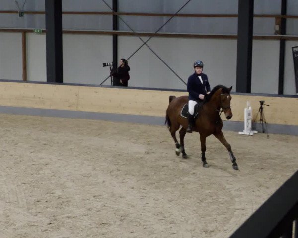 Reitturnier Borken 2023