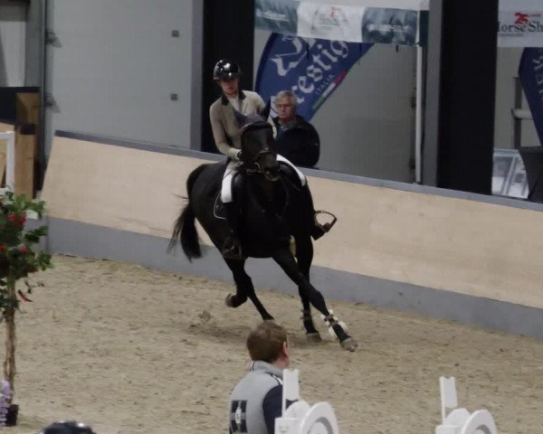 Reitturnier Borken 2023