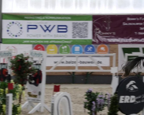 Reitturnier Borken 2023