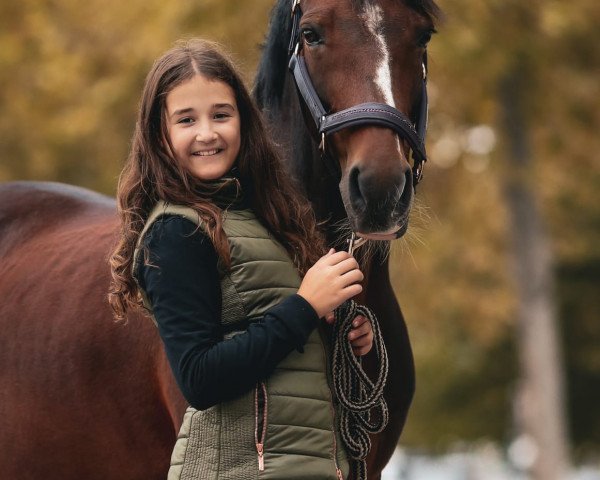 Dressurpferd Nordbygaards Chanell (Dänisches Warmblut, 2010)