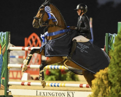 Springpferd La Belle Scf (Belgisches Warmblut, 2011, von Diktator van de Boslandhoeve)