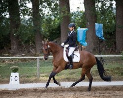 broodmare Marmelou (Oldenburg, 2014, from Münchhausen)