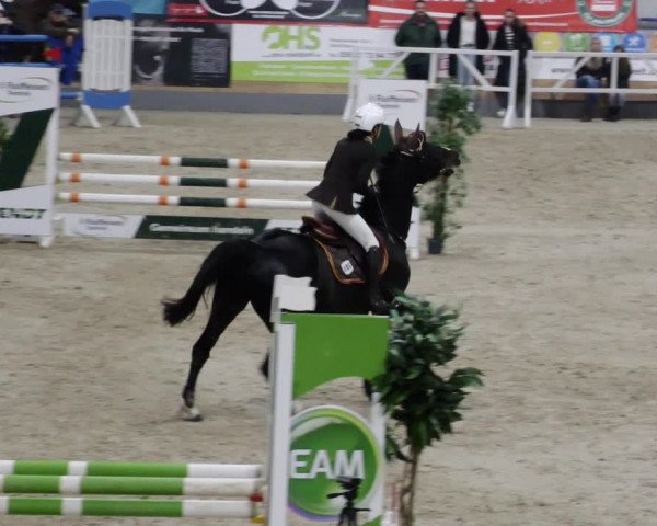 Reitturnier Borken 2023