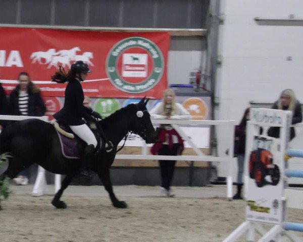 Reitturnier Borken 2023