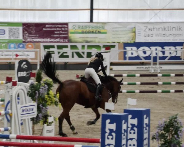 Reitturnier Borken 2023