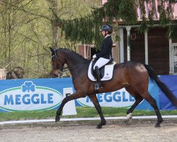 dressage horse Four Reasons (Hanoverian, 2016, from Fürsten-Look)