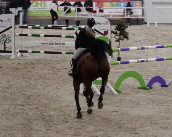 Reitturnier Borken 2023