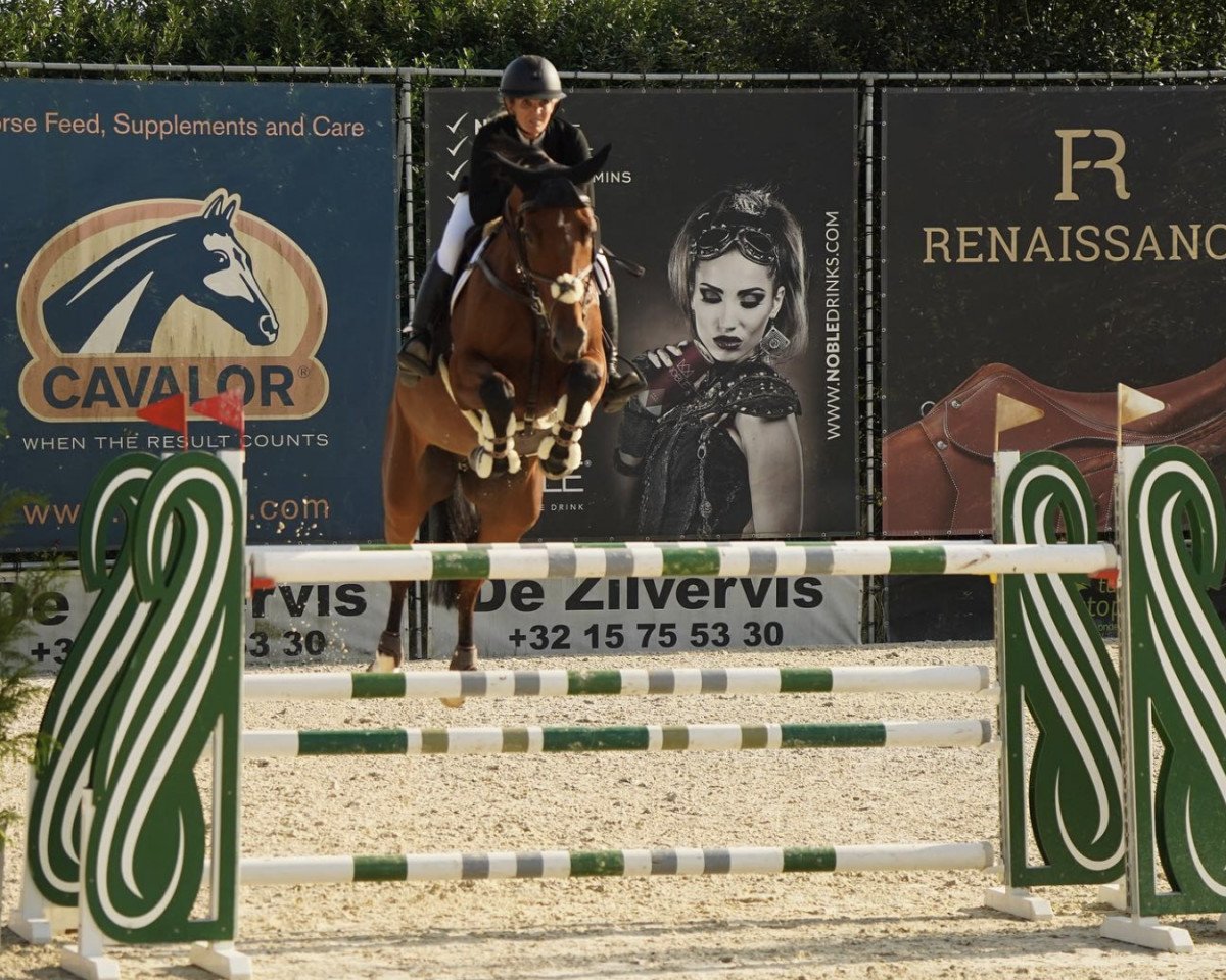 Springpferd Phoenix van de Kleinheide (Belgisches Warmblut, 2015, von Thunder van de Zuuthoeve)