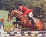 horse Lacros (Holsteiner, 1978, from Landgraf I)