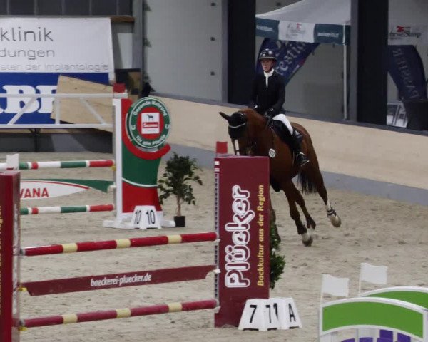 Reitturnier Borken 2023