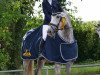 dressage horse Cherry 208 (Mecklenburg, 2017, from Chancenreich)