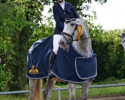 dressage horse Cherry 208 (Mecklenburg, 2017, from Chancenreich)