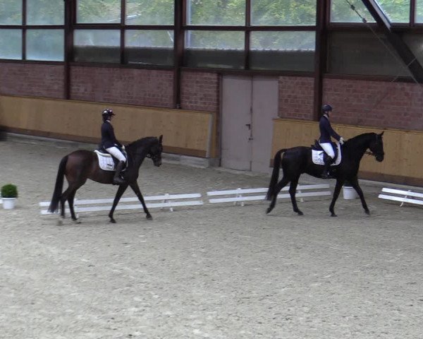 Reitturnier Hamburg-Friedrichshulde/Sylva Kuhrt 2023