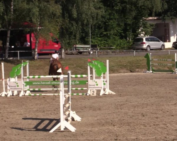 Reitturnier Lgl.-Oberhain, B95 2021