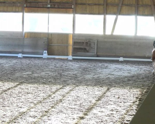 Reitturnier Urtenen-Schönbühl 2023