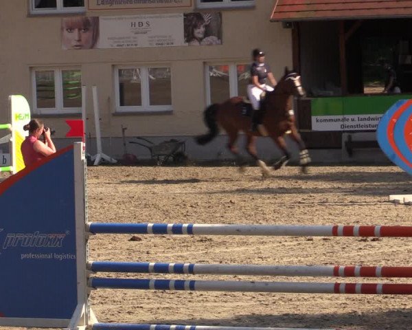 Reitturnier Lgl.-Oberhain, B95 2021