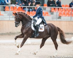 dressage horse Donna Anna (Estonian Sport, 2008, from Don Schufro)