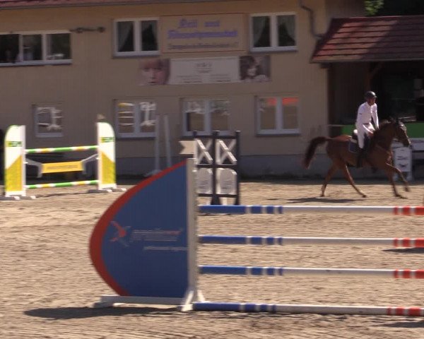 Reitturnier Lgl.-Oberhain, B95 2021