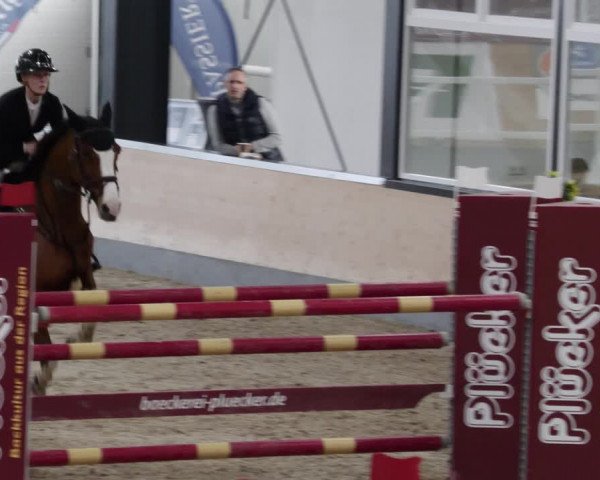 Reitturnier Borken 2023