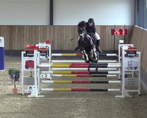 Reitturnier Zwickau 2023