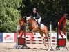 broodmare Lillifee S (Oldenburg show jumper, 2013, from Stakko)