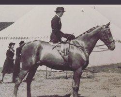 horse Cufflink (British Sport Horse, 1947, from Bachelor's Convert xx)