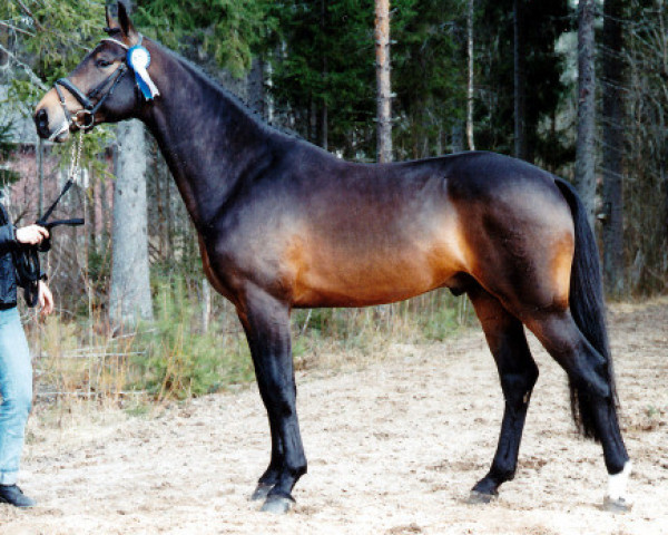 horse Levi's 117 FIN (Westphalian, 2002, from Larenco)