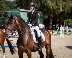 dressage horse Royals Brunetti (Hanoverian, 2015, from Rubin Royal OLD)