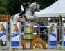 jumper Ditmar (KWPN (Royal Dutch Sporthorse), 2008, from Sydney)