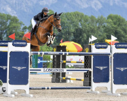 Springpferd J'Adore van het Beetjen (Belgisches Warmblut, 2009, von Toulon)