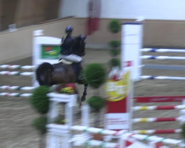Reitturnier Hövelhof 2023